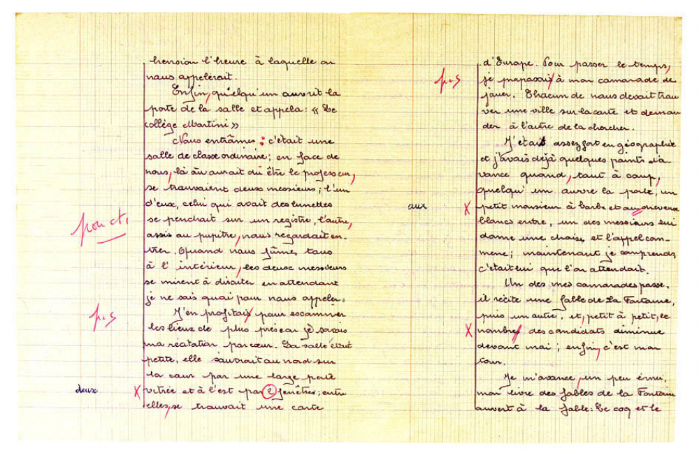 Devoirs de Français : Rédactions. 