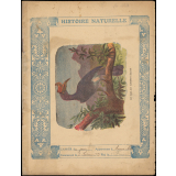Cahier journalier / Ecole de Saffres.