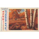 Buvard publicitaire. Chewing Gum Bell et Flan Mireille. Buvard N° 45. Forêt en automne. 