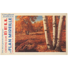 Buvard publicitaire. Chewing Gum Bell et Flan Mireille. Buvard N° 45. Forêt en automne.