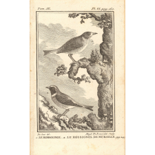 Oiseaux.