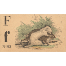 Alphabet. Fu-ret F f. 