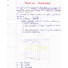 Technologie appliquée : diplômes de technicien prothésiste-orthésiste et BTS prothésiste-orthésiste