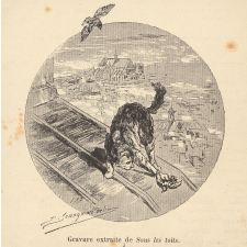 Sous les toits. Illustration. Chat attrapant un oiseau. .