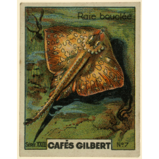 Café Gilbert