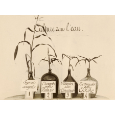Culture de pommes de terre et Culture dans l'eau.