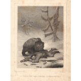 Fables de La Fontaine.
