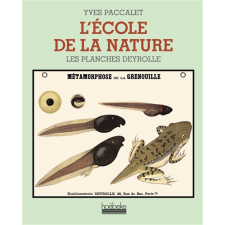 L'école de la nature. Les planches Deyrolle
