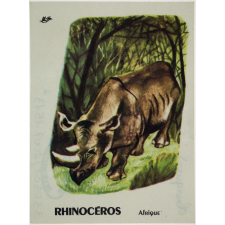 Animaux sauvages