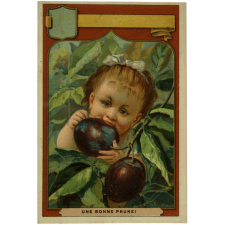 Cartes réclame. Véritable extrait de viande Liebig. Les fruits.