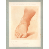 Cours de dessin. Fac-simile des Grands-Maîtres. Sous le patronage du Sénateur, Surintendant des Beaux-Arts, Comte de Nieuwerkerke.