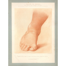 Cours de dessin. Fac-simile des Grands-Maîtres. Sous le patronage du Sénateur, Surintendant des Beaux-Arts, Comte de Nieuwerkerke.