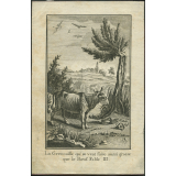 Fables de Jean de La Fontaine. Illustrations.