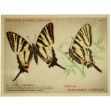Images réclame à collectionner. Biscottes Clément. Papillons diurnes d'Europe.