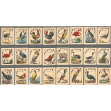 Alphabet des oiseaux. 