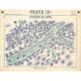 Peste (IV). Epiploon du lapin.