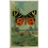 Cartes réclame. Chocolat Mirault. Les Papillons. 