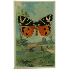 Cartes réclame. Chocolat Mirault. Les Papillons.