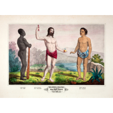 Tableau mural. Tableau illustré d'histoire naturelle. 