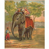 L'éléphant.