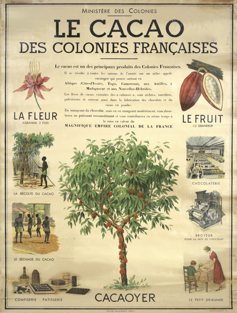 Le cacao des colonies françaises