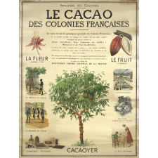 Le cacao des colonies françaises