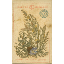 Image religieuse. Fleurs de Bethléem.