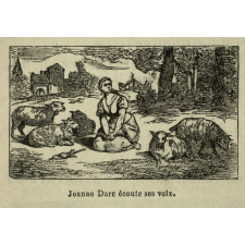 La Nouvelle année préparatoire d'Histoire de France. Cours élémentaire et cours moyen (1ère année).
