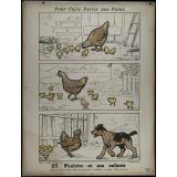 Tableaux muraux. Pour faire parler nos petits. 32 scènes familières en images sans paroles. Deuxième série. 27- Poulette et ses enfants. 28- Les résultats de la dispute.
