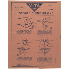 Vita. Histoire d'une graine
