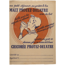 Chicorée Protez-Delatre
