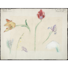 étude de fleurs