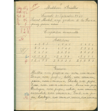 Cahier journalier