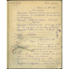 Devoirs journaliers