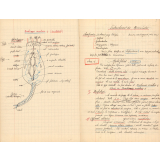 Cahier de zoologie