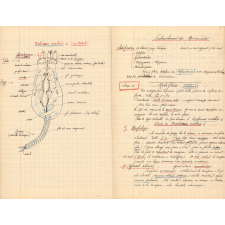 Cahier de zoologie