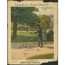 8. Les oiseaux de Paris