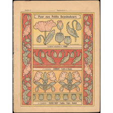 Pavot et lierre