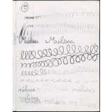 Cahier journalier