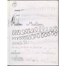 Cahier journalier