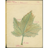 Cahier d'observation