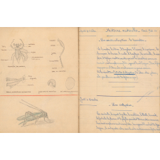Cahier d'Histoire Naturelle
