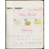 Cahier mensuel