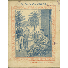 La violette - La vertu des plantes
