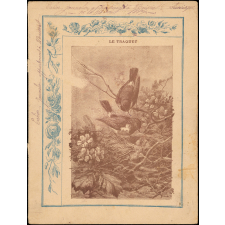 Le traquet