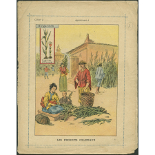 Les produits coloniaux - le gingembre