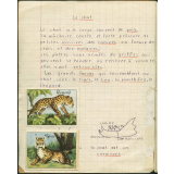 Cahier de leçon de choses