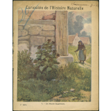 7. Les plantes dangereuses
