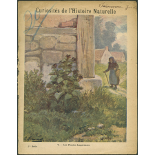 7. Les plantes dangereuses