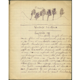 Cahier journalier